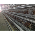 Full Automatic Layer Cage Certificate of ISO9001